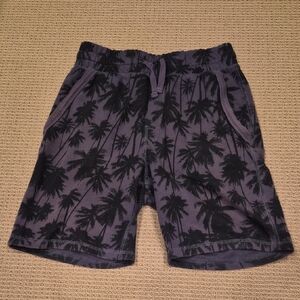 H&M Dark Gray Palm Tree Print Athletic/Casual Shorts